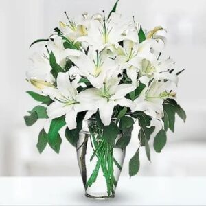 condolence flowers in bhilwara,mother's day flowers in bhilwara,flower delivery in bhilwara,white flowers shop in bhilwara,white vase with flowers in bhilwara,daughter's day gift in bhilwara,fathers day gift in bhilwara,sorry gift in bhilwara,thank you gift in bhilwara,new year gift in bhilwara,white vase flower in bhilwara